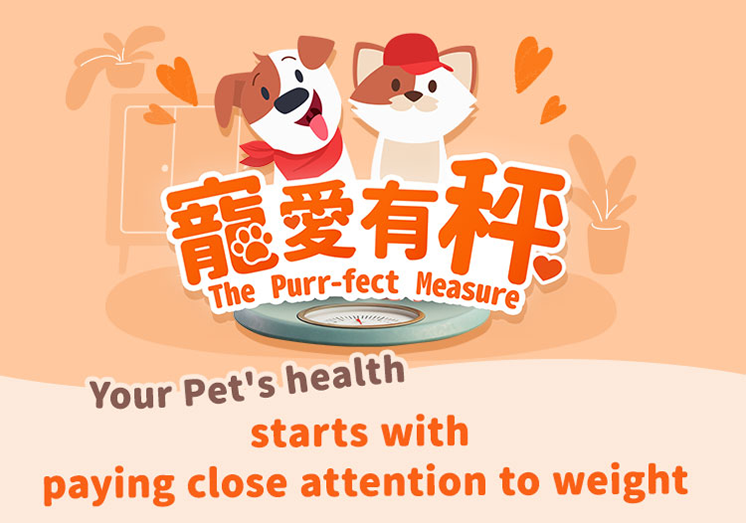 Pet Wellness Banner