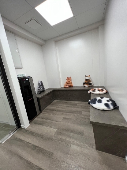 Picture of Amazing Grace Animal Hospital Basic Health Checkup Plan (Canine)