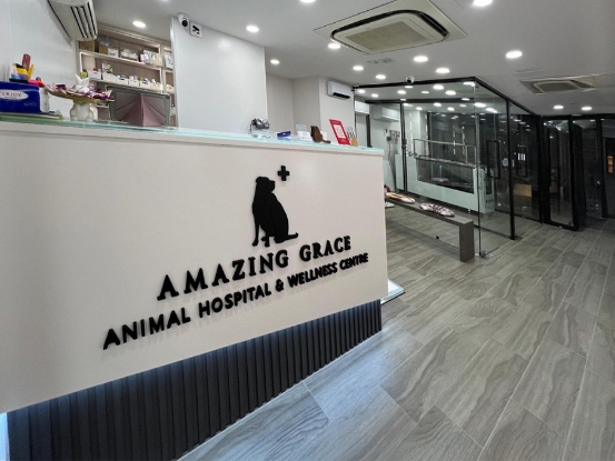 Picture of Amazing Grace Animal Hospital Basic Health Checkup Plan (Feline)