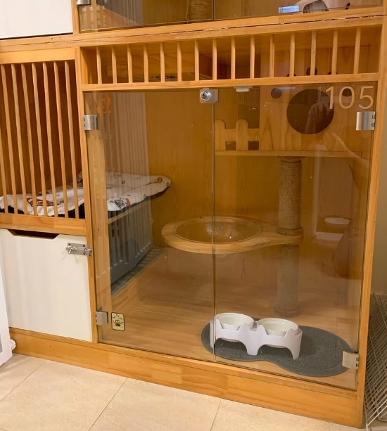 圖片 寵愛貓酒店 貓酒店服務 | 沙田區