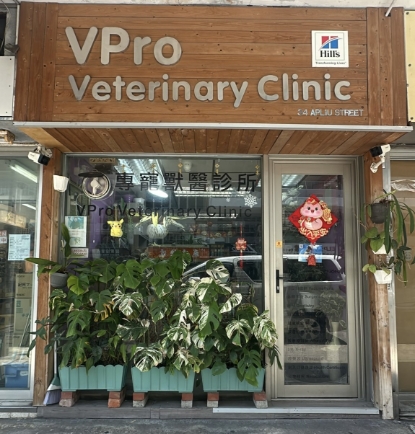 圖片 專寵獸醫診所 新貓入屋健康檢查計劃