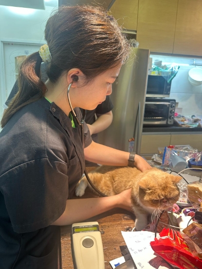 圖片 專寵獸醫診所 新貓入屋健康檢查計劃