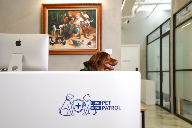 圖片 香港流動獸醫診所 成犬身體檢查計劃