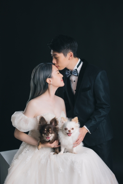圖片 幸福宣言 寵物婚紗拍攝 | 寵物攝影