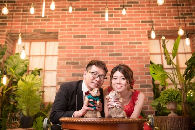 圖片 幸福宣言 寵物婚紗拍攝 | 寵物攝影