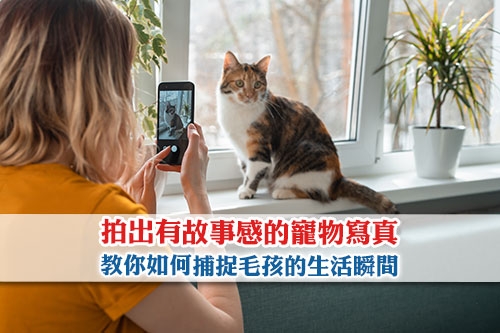 圖片 拍出有故事感的寵物寫真！教你如何捕捉毛孩的生活瞬間