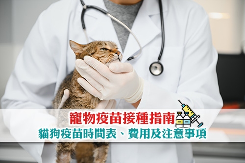 Picture of 寵物疫苗接種指南：貓狗疫苗時間表、費用及注意事項