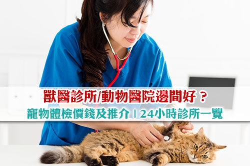 圖片 寵物醫院邊間好？寵物體檢價錢及推介| 如何選擇獸醫診所和動物醫院