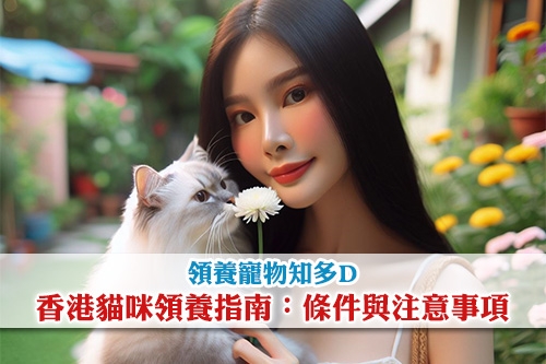 圖片 【領養寵物知多D】香港貓咪領養指南：條件與注意事項