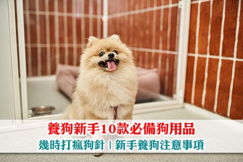 圖片 【養狗新手指南】10款必備狗用品| 幾時打瘋狗針| 新手養狗注意事項