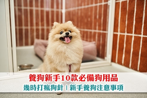 圖片 【養狗新手指南】10款必備狗用品| 幾時打瘋狗針| 新手養狗注意事項