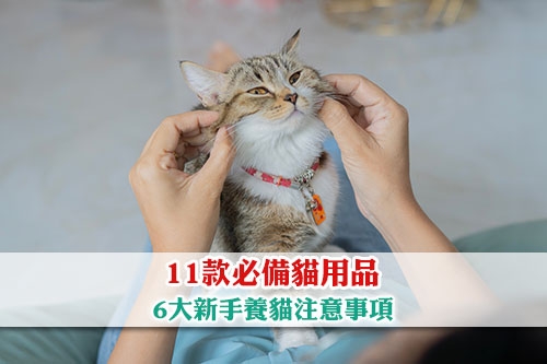 圖片 【新手養貓指南】11款必備貓用品|  6大新手養貓注意事項