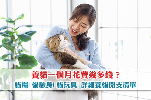 圖片 養貓一個月花費幾多錢？貓糧| 貓驗身| 貓玩具| 詳細養貓開支清單