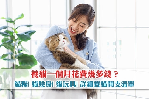圖片 養貓一個月花費幾多錢？貓糧| 貓驗身| 貓玩具| 詳細養貓開支清單