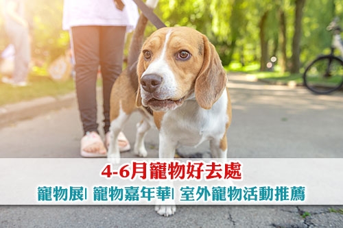 圖片 【4-6月寵物好去處】寵物展| 寵物嘉年華| 室外寵物活動推薦
