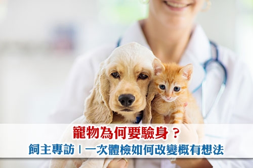 圖片 【飼主專訪】寵物為何要驗身？一次體檢如何改變主人概有想法