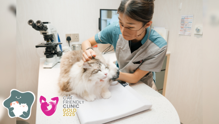 圖片 WeHUG 新界動物醫療中心 基本貓貓健康檢查