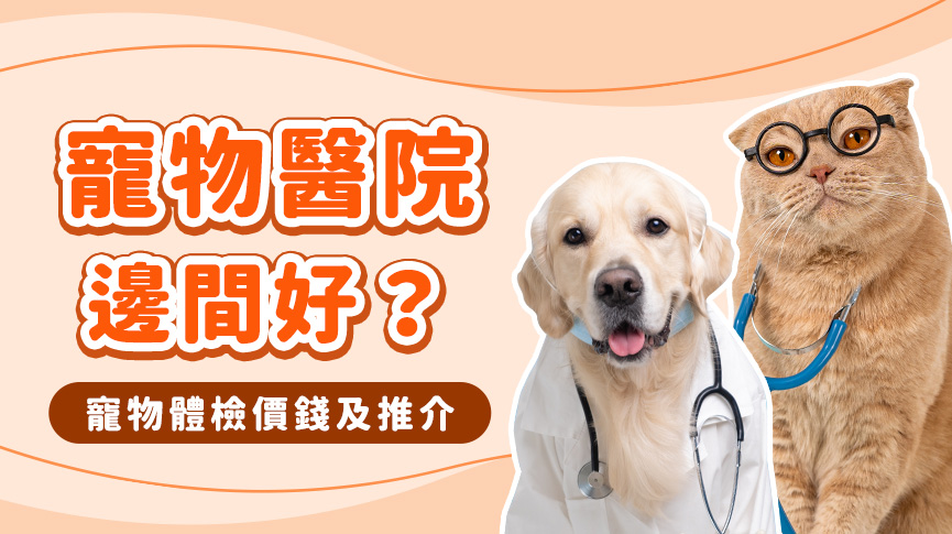 圖片 寵物醫院邊間好？寵物體檢價錢及推介| 如何選擇獸醫診所和動物醫院