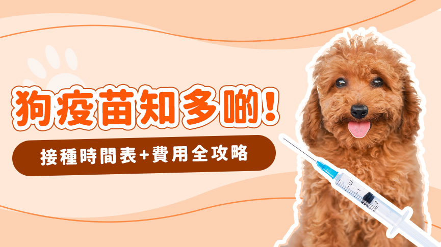 圖片 【狗狗預防針時間表】幼犬/成犬疫苗必睇:五合一/狂犬病接種價錢及副作用