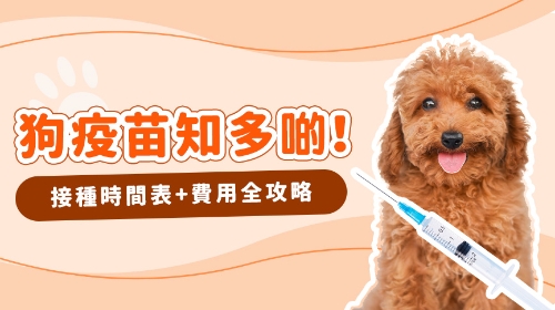 圖片 【狗狗預防針時間表】幼犬/成犬疫苗必睇：五合一/狂犬病接種價錢及副作用