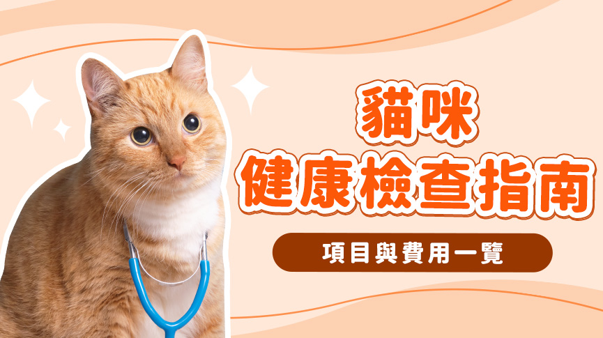 圖片 【貓身體檢查推薦】貓咪多久健康檢查一次？幼貓/新貓/老貓驗身項目及費用