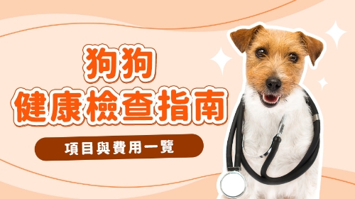 Picture of [Recommended Dog Health Checkup] How often should dogs have a health checkup? Prices and procedures for puppy/adult/senior dog checkups.