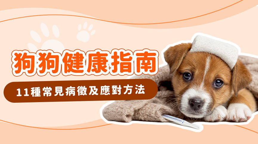 圖片 狗狗突然沒精神？分析11種狗生病病徵| 如何應對不舒服姿勢