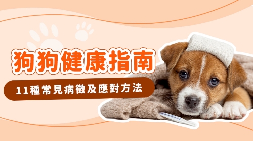 圖片 狗狗突然沒精神？分析11種狗生病病徵| 如何應對不舒服姿勢