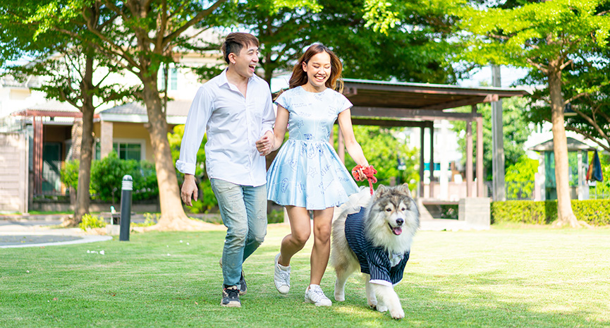 圖片 【寵物家庭攝影全攻略】4個貼士拍出溫馨合影| 留下與毛孩的珍貴回憶