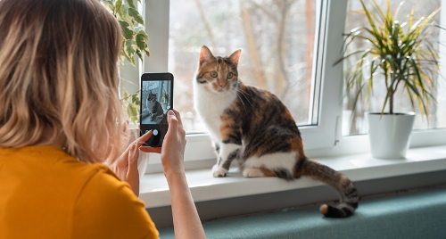 圖片 拍出有故事感的寵物寫真！教你如何捕捉毛孩的生活瞬間