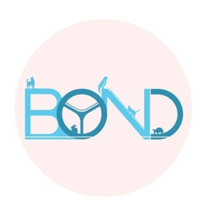 Picture of Bonding Pet And Exotic Animal Hospital - Anniversary Celebration Feline Body Check