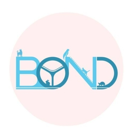 Picture of Bonding Pet And Exotic Animal Hospital - Anniversary Celebration Feline Body Check