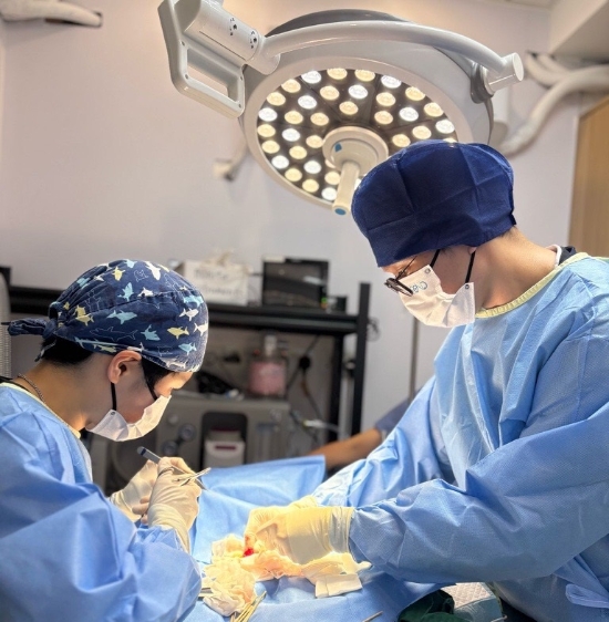Picture of Bonding Pet And Exotic Animal Hospital - Anniversary Celebration Small Mammals Body Check
