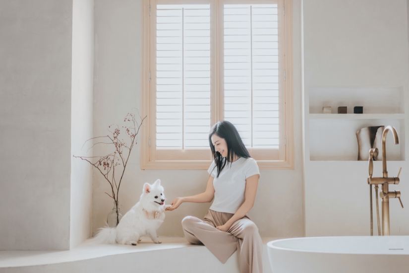 Picture of The House Pet Photography Service - [📸FESTA with THE HOUSE🐾] | Pet Photography