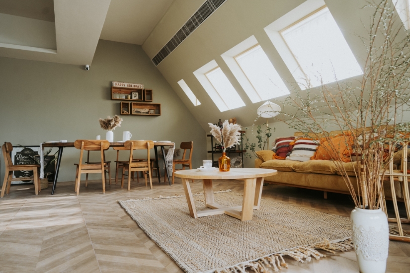 Picture of The House Pet Activity Venue Service - Green Olives