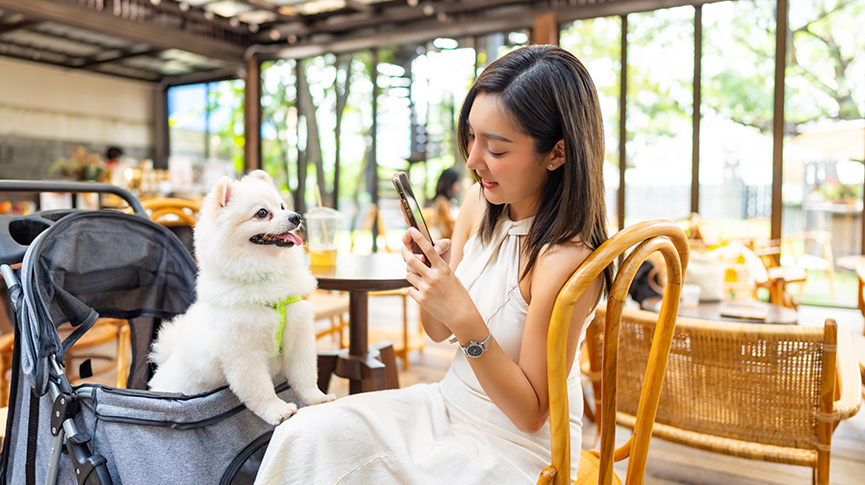 圖片 【寵物友善餐廳】政府擬發500-1000個牌照 兩類食肆暫不獲發牌