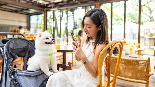 圖片 【寵物友善餐廳】政府擬發500-1000個牌照 兩類食肆暫不獲發牌
