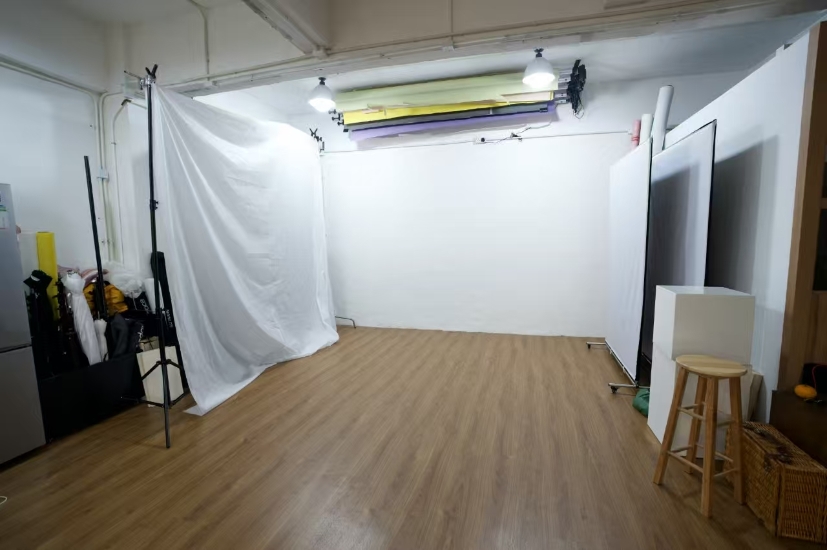 圖片 七舊毛工作室 室內寵物家庭攝影（純色背景） |  寵物攝影