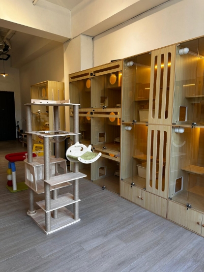 Picture of Furball Life Cat Hotel | Sham Shui Po District