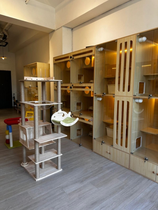 Picture of Furball Life Cat Hotel | Sham Shui Po District