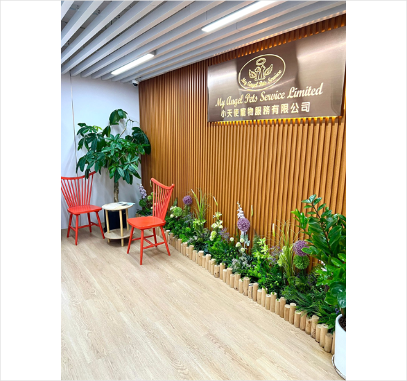 圖片 小天使寵物善終服務 獨立火化計劃