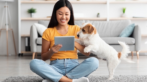 圖片 香港寵物優惠攻略2026|最新貓狗用品・零食折扣情報(持續更新)