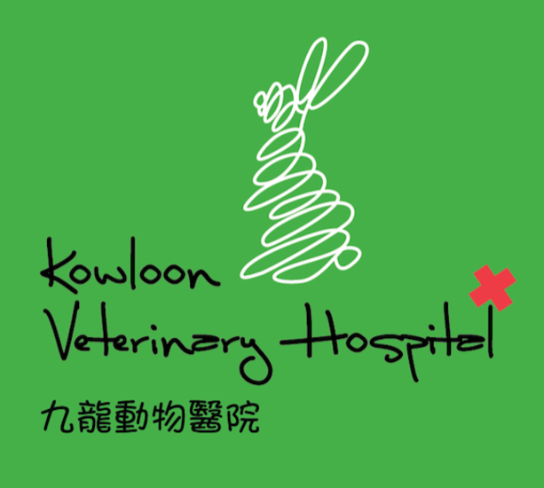 Picture of Kowloon Veterinary Hospital  - Dog Neutering Plan (Female)