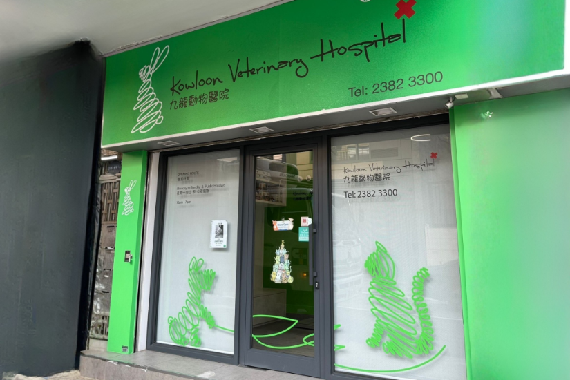 Picture of Kowloon Veterinary Hospital  - Dog Neutering Plan (Male)