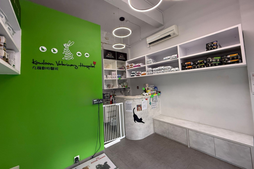 Picture of Kowloon Veterinary Hospital - Cat Neutering Plan (Male)