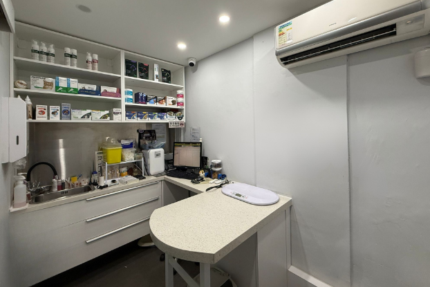 Show details for Kowloon Veterinary Hospital - Cat Neutering Plan (Male) Picture of Kowloon Veterinary Hospital - Cat Neutering Plan (Male)