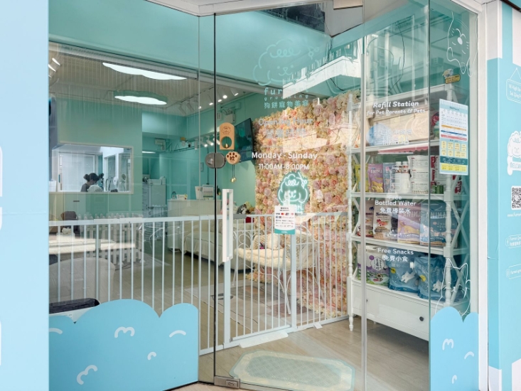 Picture of Grooming Service (+ Upgrade Service)