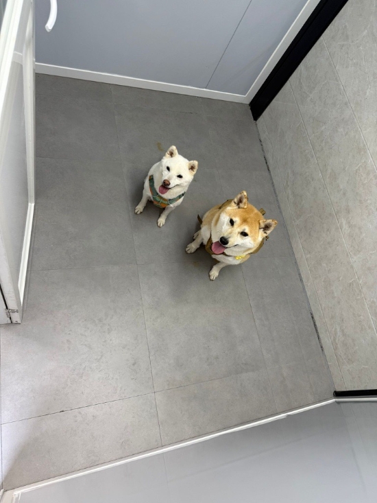 Picture of Shibaraku - Shower rooming