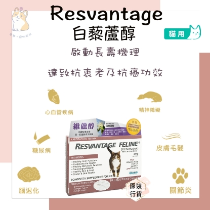 Picture of RESVANTAGER Feline Longevity Supplement for Cat 30 Capsules