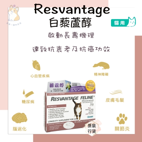 圖片 RESVANTAGER 貓貓維蘆醇白藜蘆醇 30粒 #抗衰老抗癌